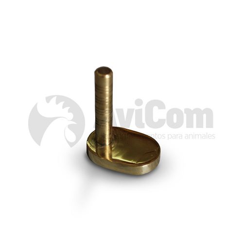 Escala de Bronce